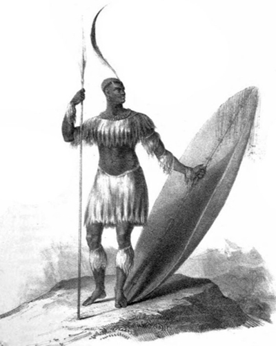 Picture of Tshaka.png (147 KB)