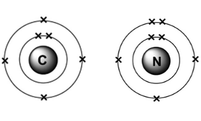 3.Fig1.1.3.jpg (72 KB)