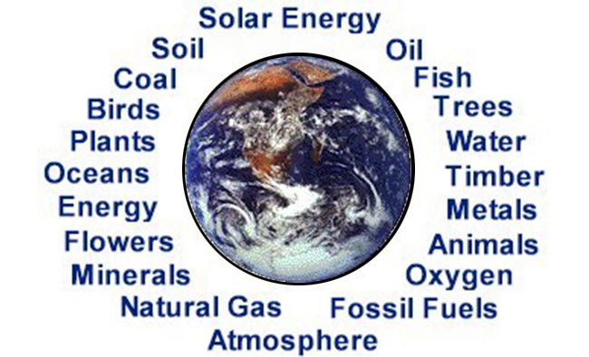 Fig.12 Examples of natural resources..jpg (239 KB)